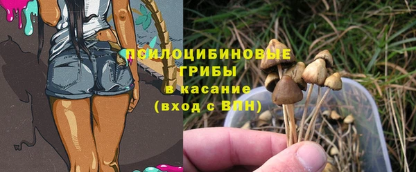 а пвп мука Пересвет