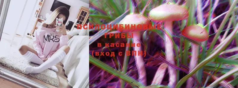 Галлюциногенные грибы прущие грибы  Ардатов 